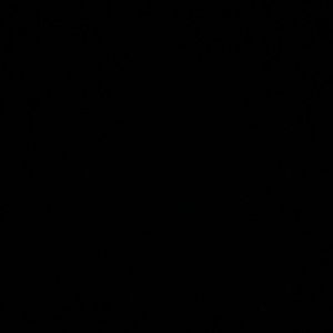 Meet your Posher, Ranisha